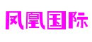 广东省广州市凤凰国际科技开发有限公司